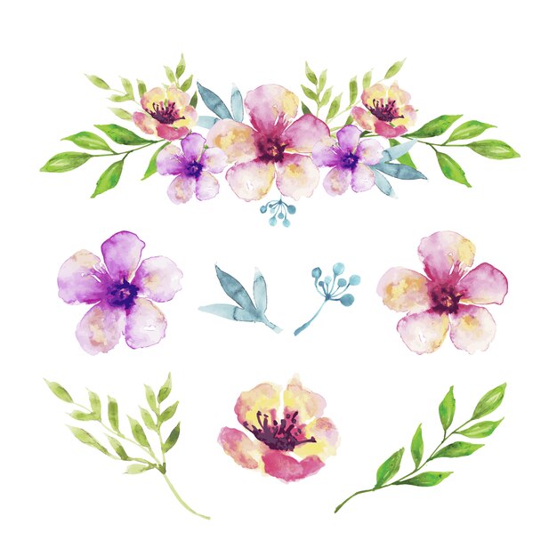 Watercolor decorative floral elements pack 