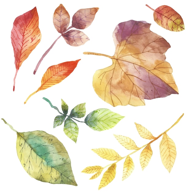 Vettore gratuito pack di foglie di autunno di disegno dell'acquerello