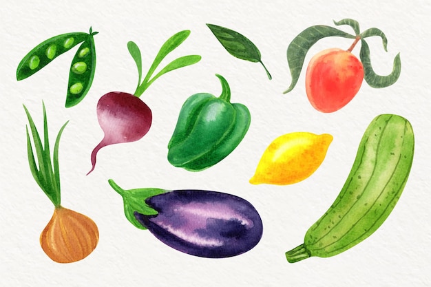 Watercolor different vegetables collection