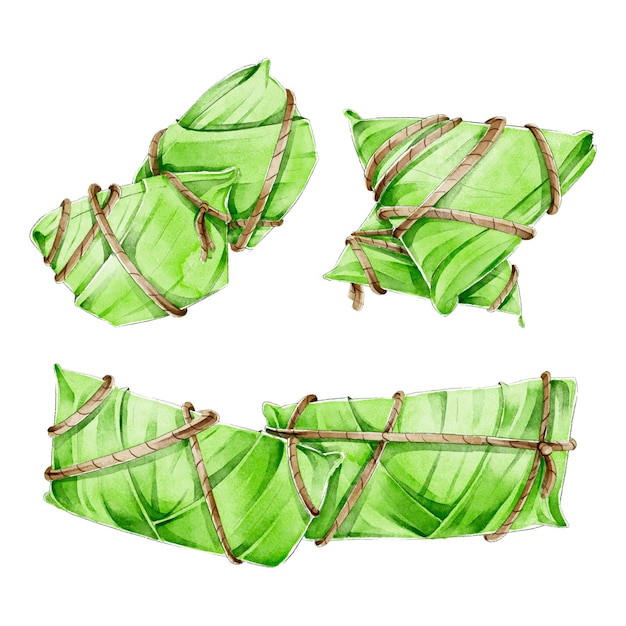 수채화 용 보트의 zongzi 컬렉션