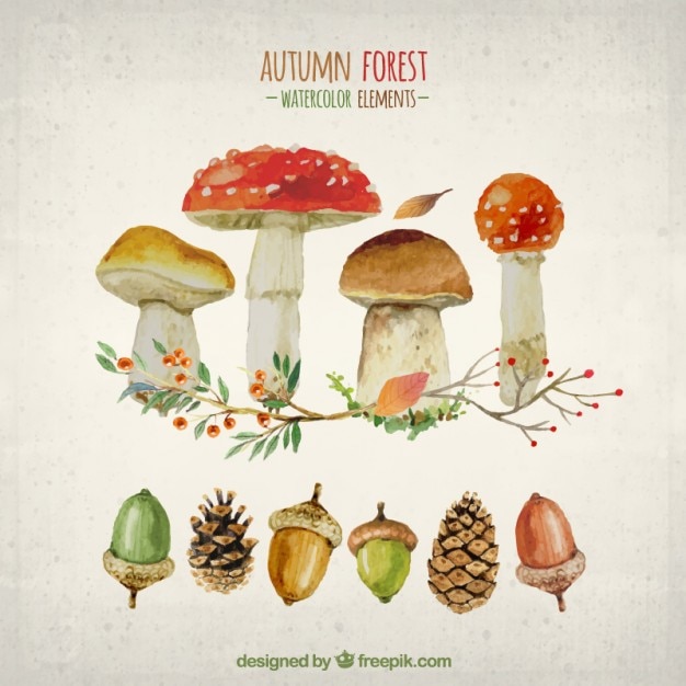 Free vector watercolor elements of autumn forest