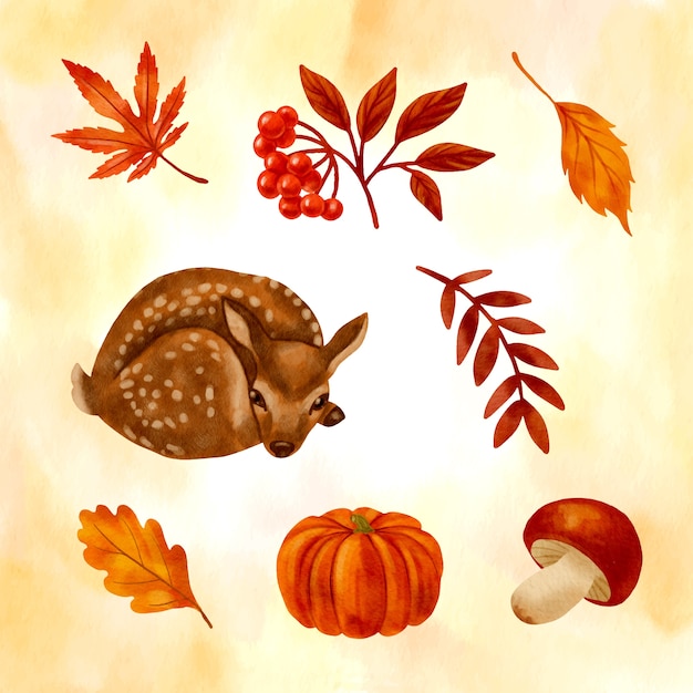 Free vector watercolor elements collection for autumn