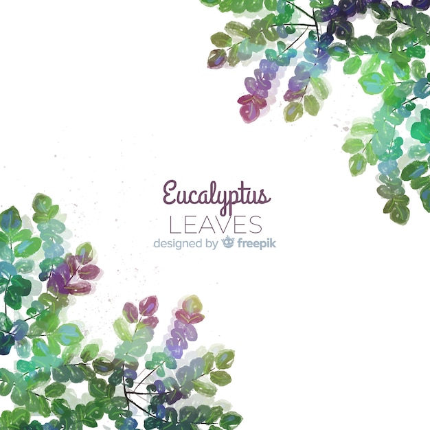 Watercolor eucalyptus leaves background