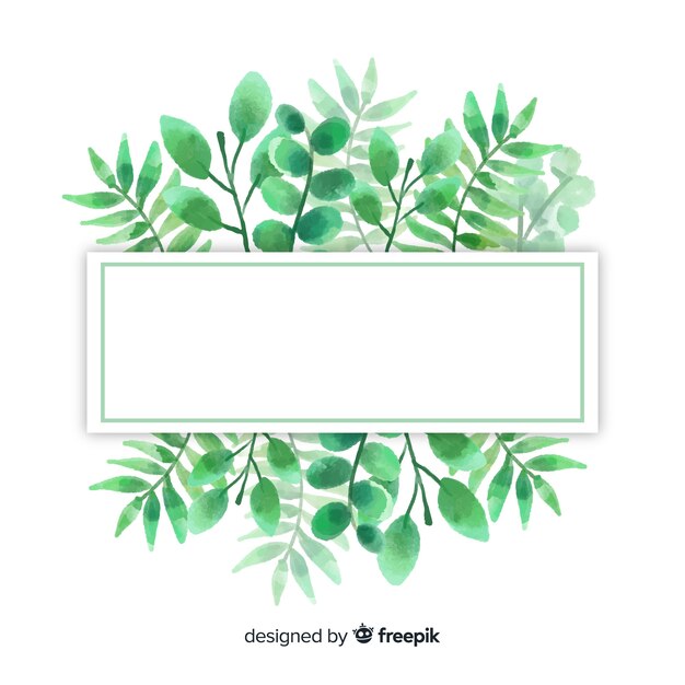 Watercolor eucalyptus leaves background