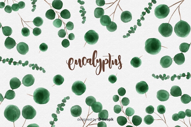 Watercolor eucalyptus leaves background