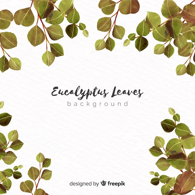 Watercolor eucalyptus leaves background
