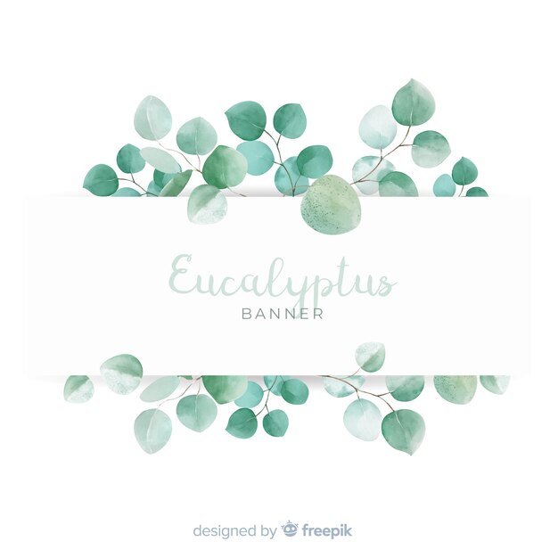 Download Eucalyptus Images | Free Vectors, Stock Photos & PSD