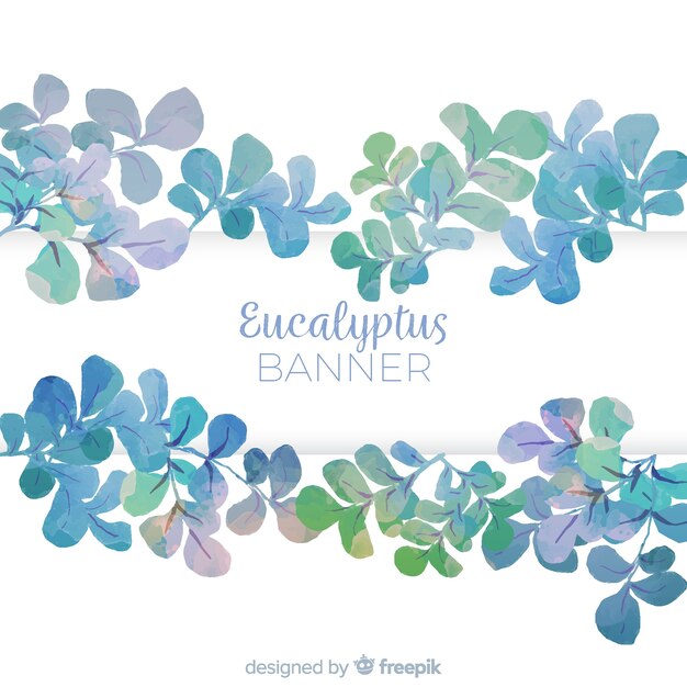 Watercolor eucalyptus leaves background