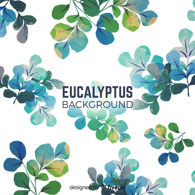 Watercolor eucalyptus leaves background