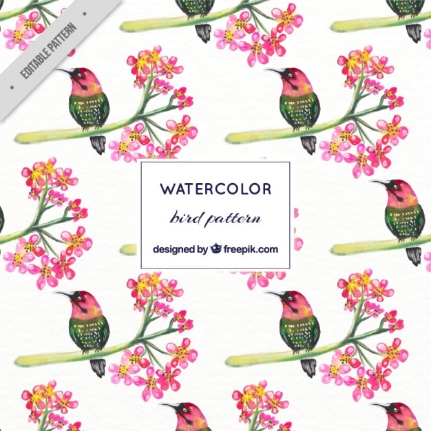 Free vector watercolor exotic bird with flowers pattern