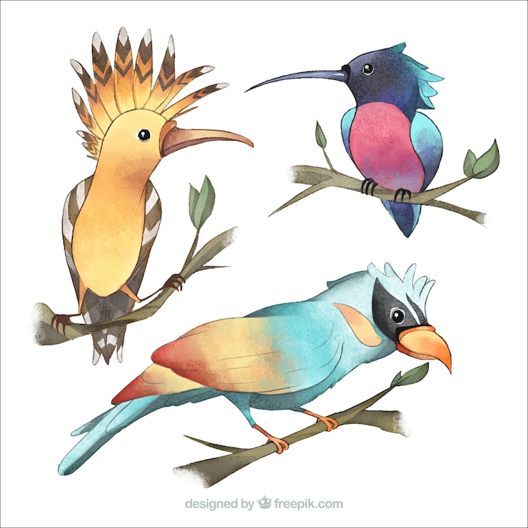 無料Vector 水彩画エキゾチックな鳥のコレクション