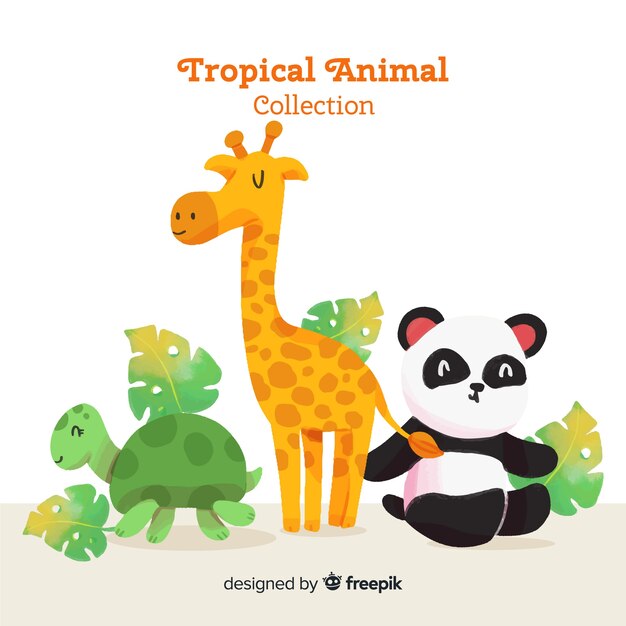 水彩のエキゾチックな熱帯動物コレクション