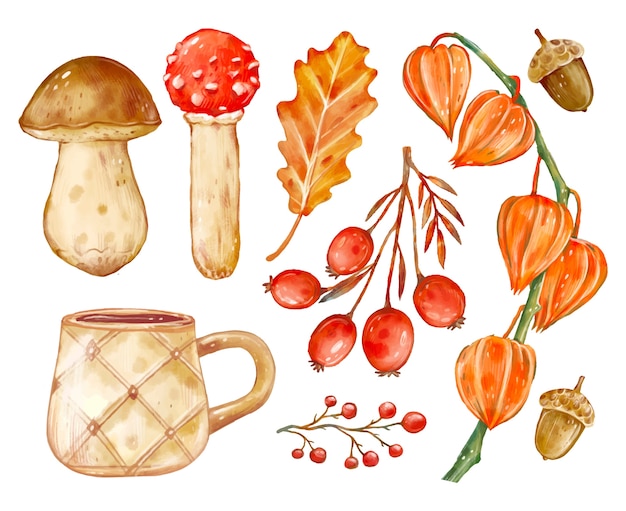 Free Vector watercolor fall season elements collection