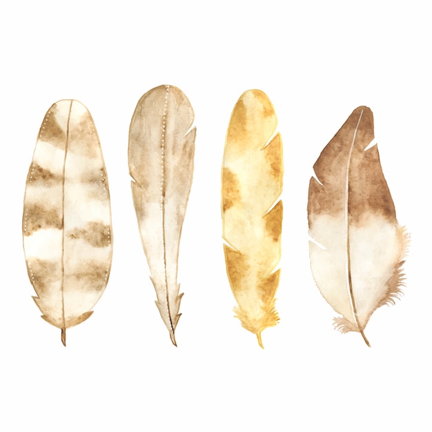 Watercolor feather set isolated on white