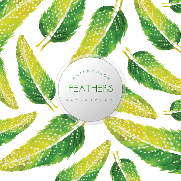Free Vector  watercolor feathers  background  