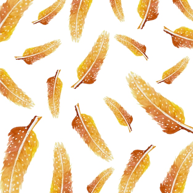 Free Vector  watercolor feathers  background  
