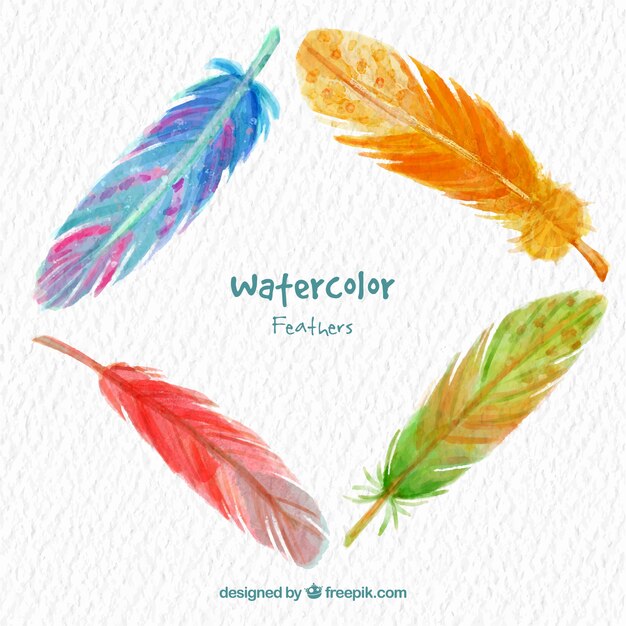 Watercolor feathers collection