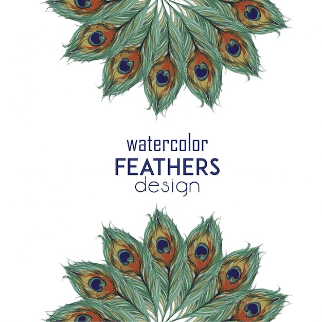 Watercolor Feathers Design