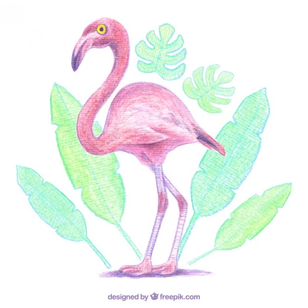 Watercolor flamingo