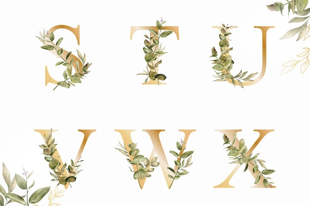 손으로 그린 단풍 Stuvwx의 수채화 꽃 알파벳 세트 프리미엄 벡터