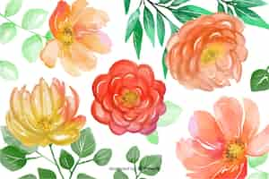 Free vector watercolor floral background