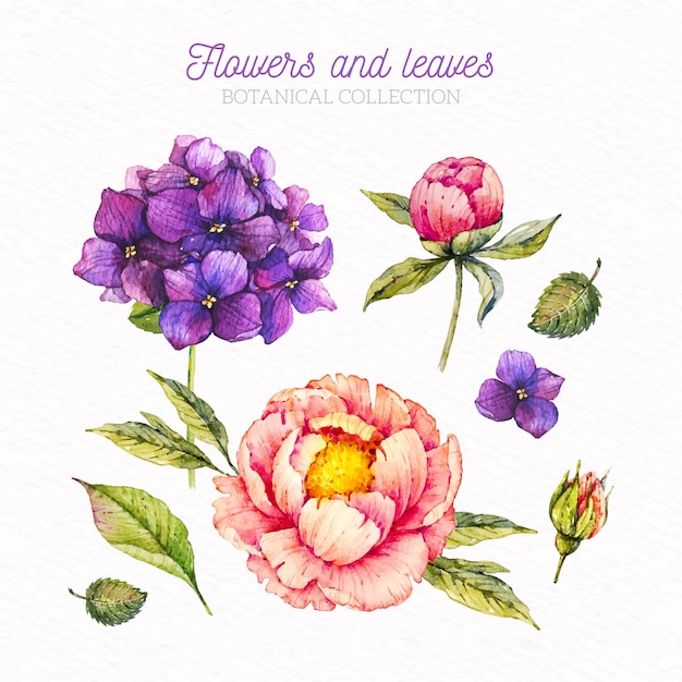 Watercolor Floral Background