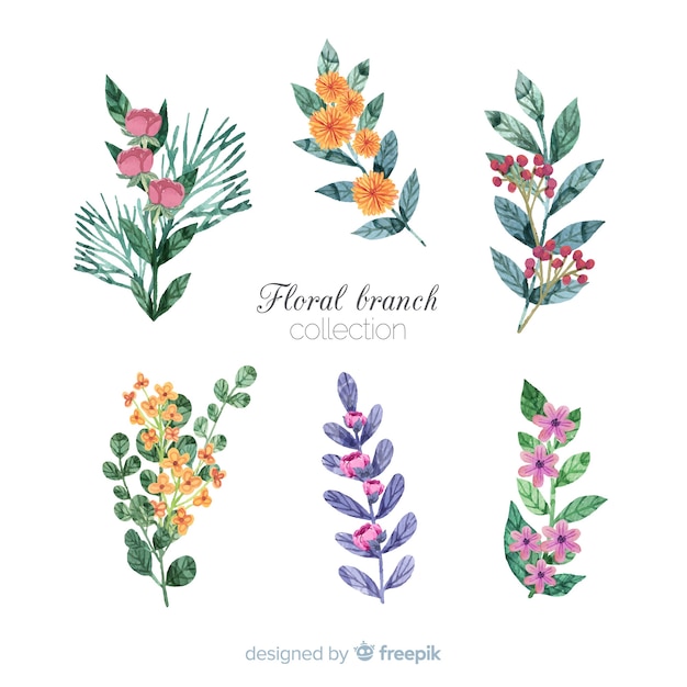 Free vector watercolor floral branch collection