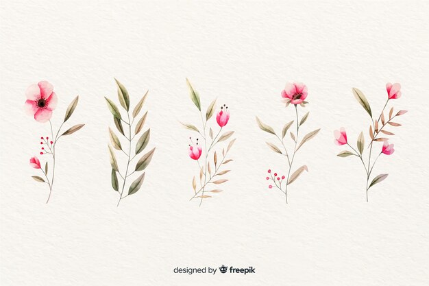 Watercolor floral branch collection