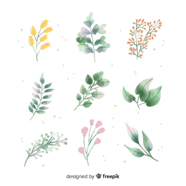 Watercolor floral branch pack
