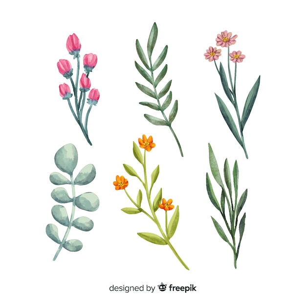 Free vector watercolor floral branch set