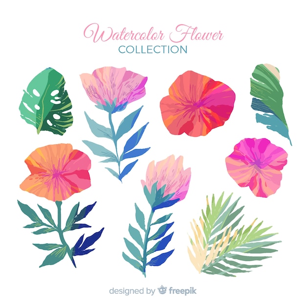 Free vector watercolor floral collection