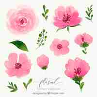 Free vector watercolor floral element collection