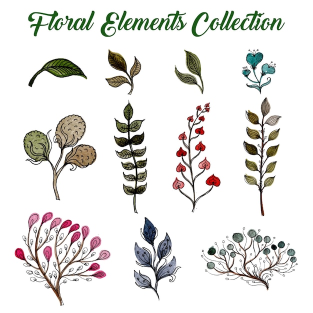 Vettore gratuito collezione di elementi floreali acquerello