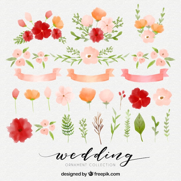 Free vector watercolor floral elements