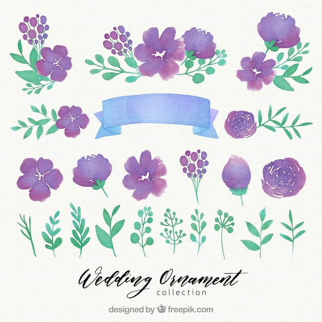 Watercolor floral wedding ornament collection