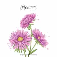 Бесплатное векторное изображение Акварельный фон цветок