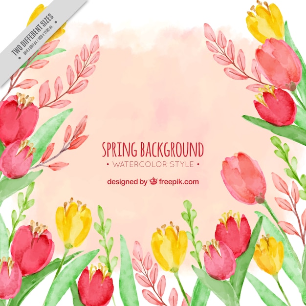 Watercolor flower background