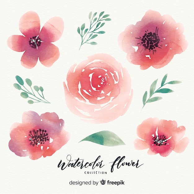 Free vector watercolor flower collection with leaves