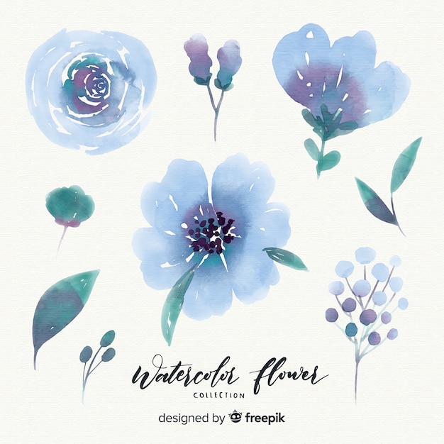 Watercolor flower collection with leaves