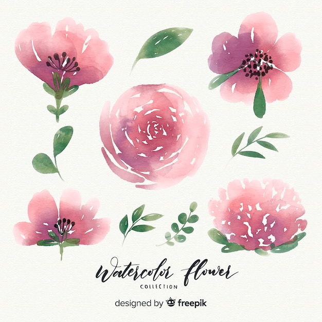 Free vector watercolor flower collection with leaves