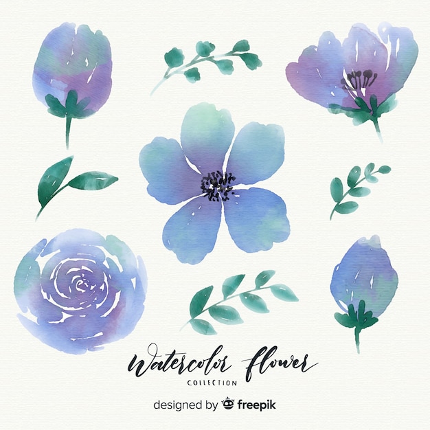 Free vector watercolor flower collection with leaves