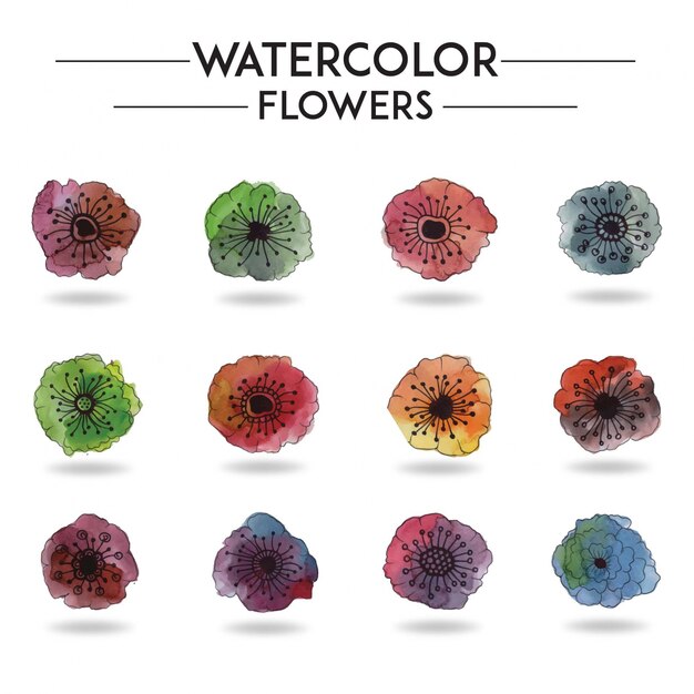 Watercolor Flower Collection