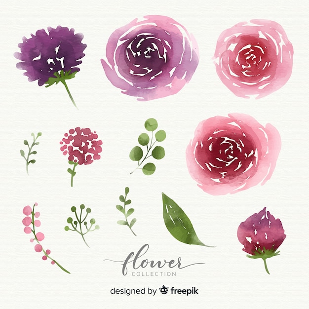 Free vector watercolor flower collection