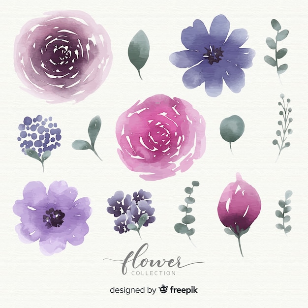 Free vector watercolor flower collection