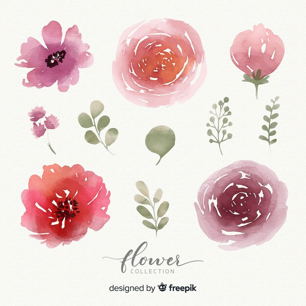 watercolor flower collection