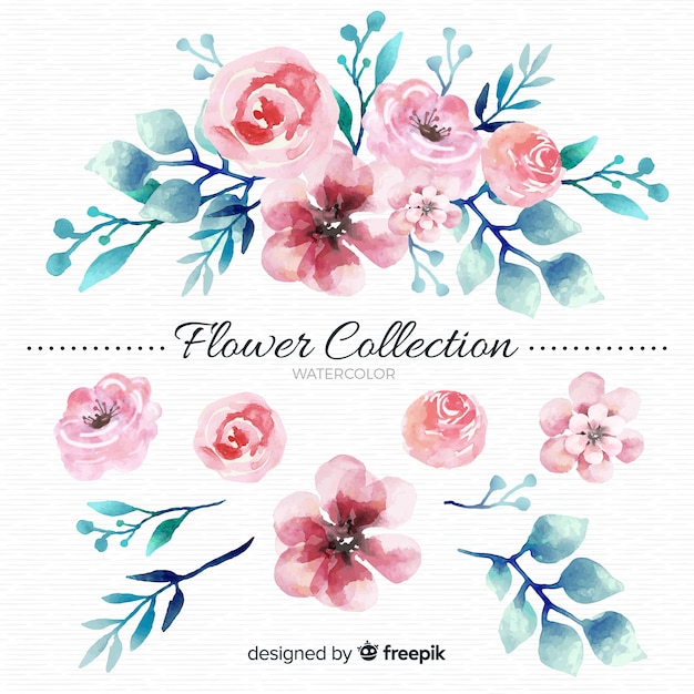 Watercolor flower collection