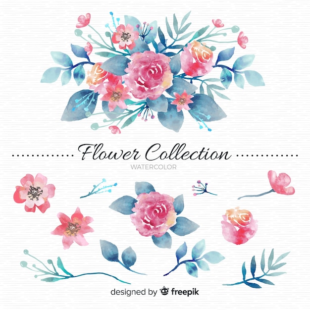 Watercolor flower collection