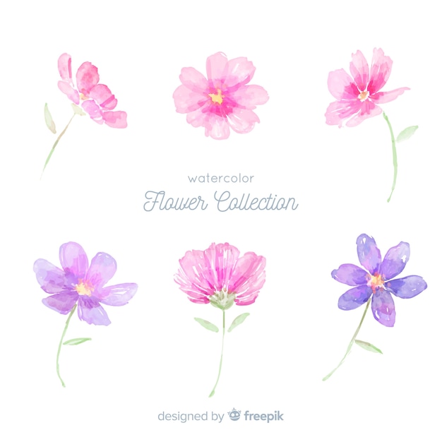 Free vector watercolor flower collection