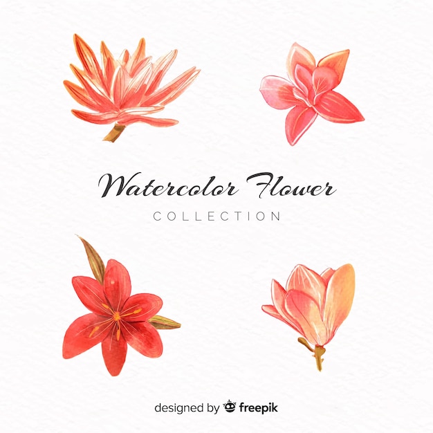 Free vector watercolor flower collection