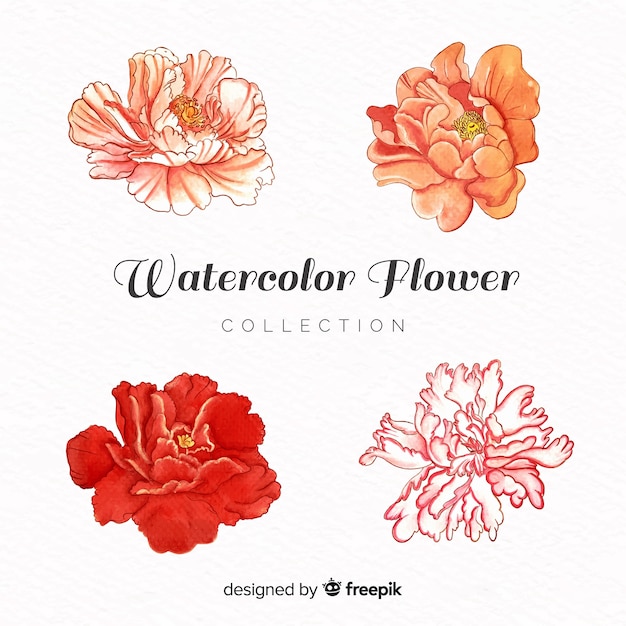 Watercolor flower collection
